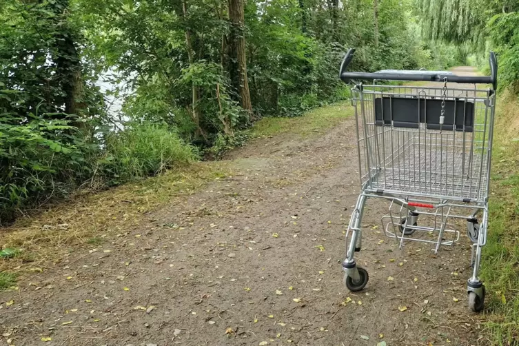 Ob der Wagen auf dem Weg griffbereit steht, leigt im Auge des Baschauers. Die meisten stören sich an den wild abgestellten Vehik