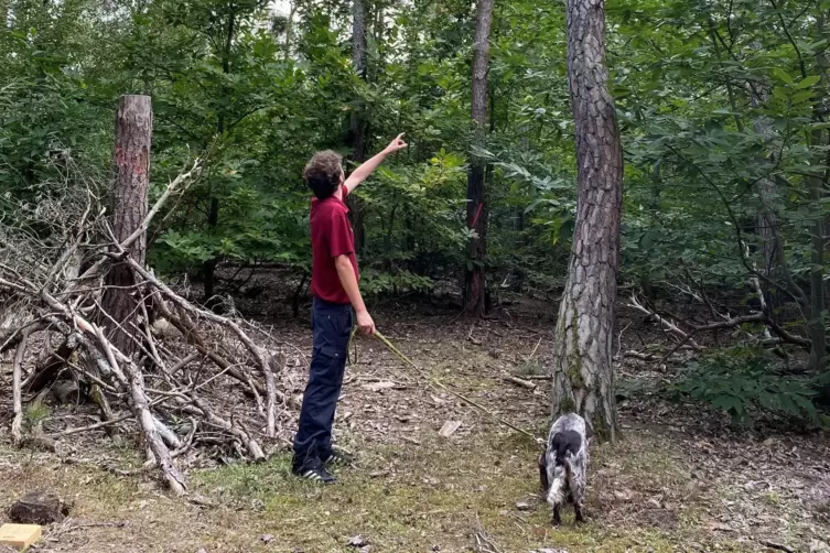 Simon Henrich mit Hündin Piva im Fußgönheimer Wald. Der Förster zeigt zu den Baumkronen. Dort lässt sich der Waldzustand ablesen