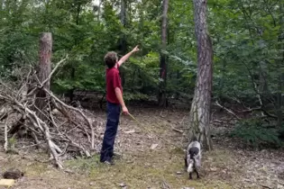 Simon Henrich mit Hündin Piva im Fußgönheimer Wald. Der Förster zeigt zu den Baumkronen. Dort lässt sich der Waldzustand ablesen