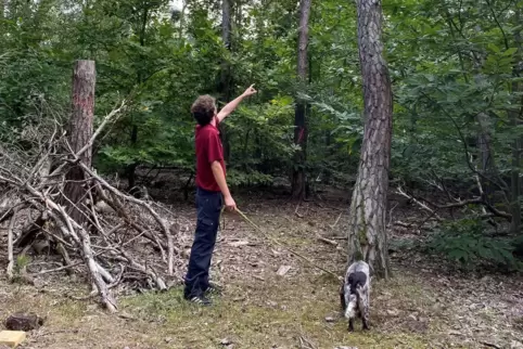 Simon Henrich mit Hündin Piva im Fußgönheimer Wald. Der Förster zeigt zu den Baumkronen. Dort lässt sich der Waldzustand ablesen