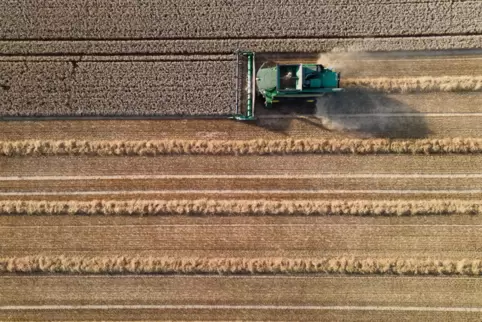 Wegen des Regens hatten die Landwirte oft nur kurze Zeitfenster, um die Felder abzuernten.