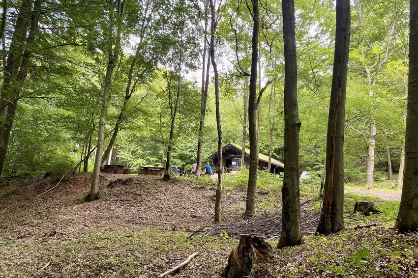 Die Hütte liegt mitten im Wald.