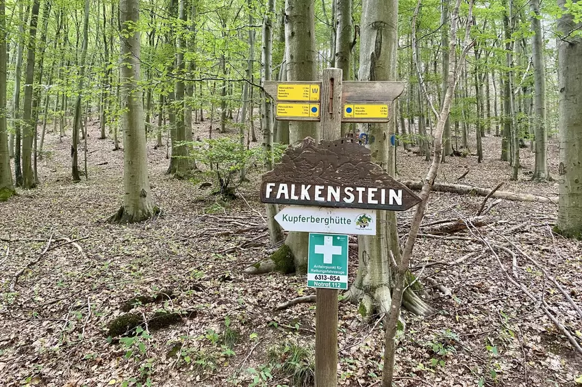 Viele Wanderwege kreuzen hier.