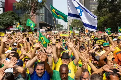 Demonstration in Brasilien