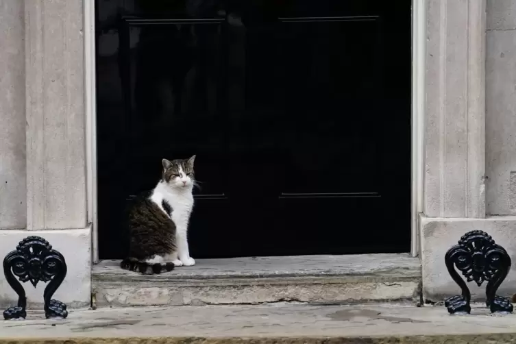 Kabinettssitzung in Großbritannien