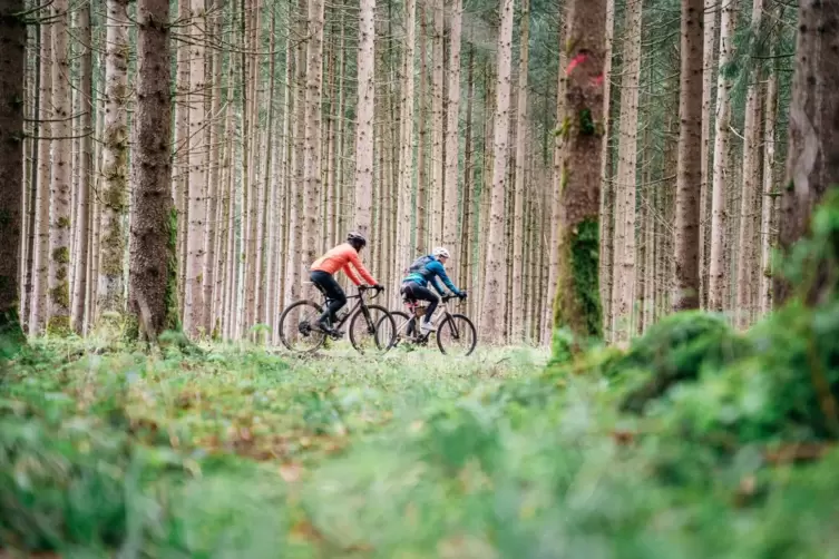 Gravelbiker fahren durch einen Wald in Oberbayern