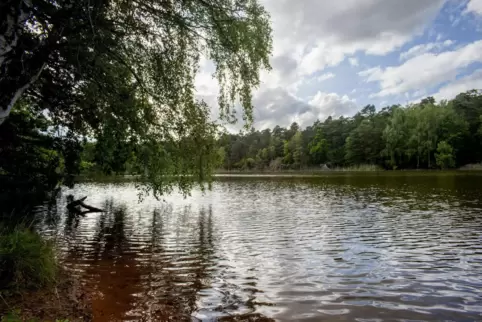 Der Lauf führt über einen Rundkurs um den Vogelwoog (unser Bild) und den Hammerweiher. 