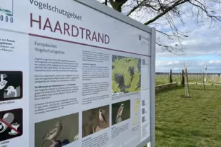 In Freinsheim und Weisenheim am Sand gibt es viele Flächen im Vogelschutzgebiet Haardtrand.