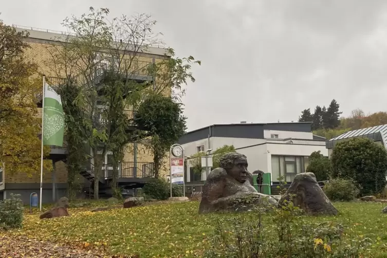 Beim Gesundheitsforum am Donnerstag geht es um den Hebammenkreißsaal am Standort Kibo des Westpfalz-Klinikums. 