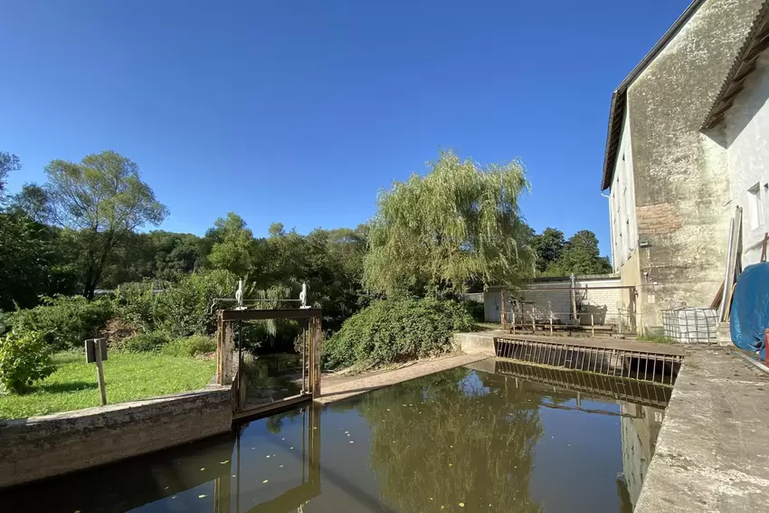 Der Mühlgraben führt zwischen Garten und Glan zur Turbine.