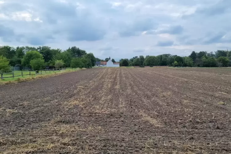 Vorne rechts im Bild auf dem Acker am Ende der Schafgasse könnte eine Alternative für den neuen Bauhof der Ortsgemeinde Neuhofen