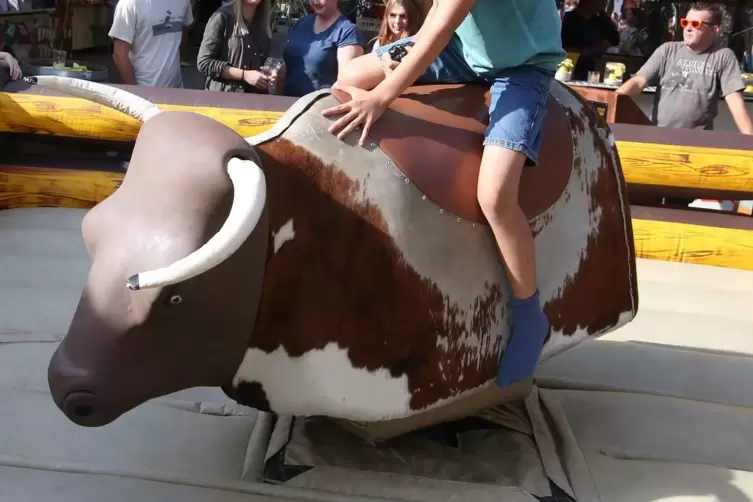 Bullriding: Wer bleibt am längsten im Sattel?