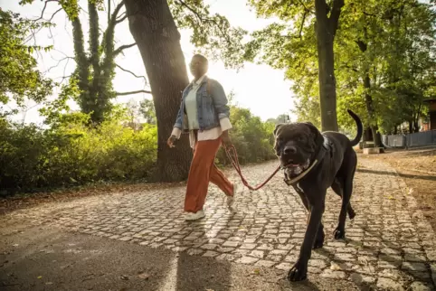 Kein Befehl, aber doch eine dringende Bitte: Hunde sollen im Kreis Bad Dürkheim einstweilen immer angeleint bleiben. 