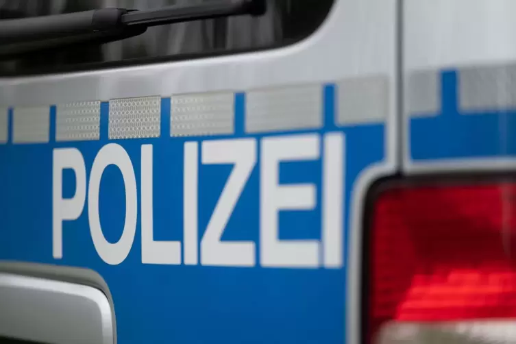 Symbolbild Polizeiauto