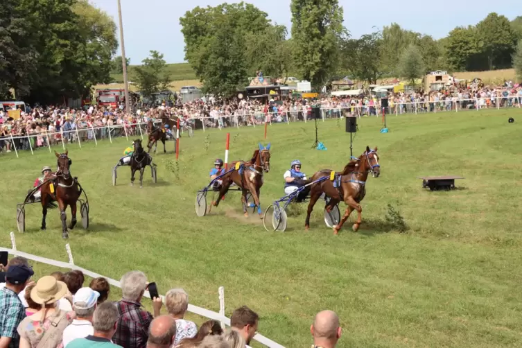 Auf den Reitwiesen: Spektakuläre Pferderennen sind ein traditioneller Festhöhepunkt. 