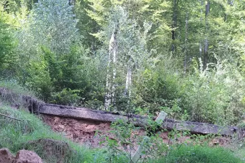 Blick von unten auf die Kreisstraße 4 im Stausteiner Wald bei Kröppen, wo die Straße nach einem Hangruthsch unterhöhlt ist. Sie 