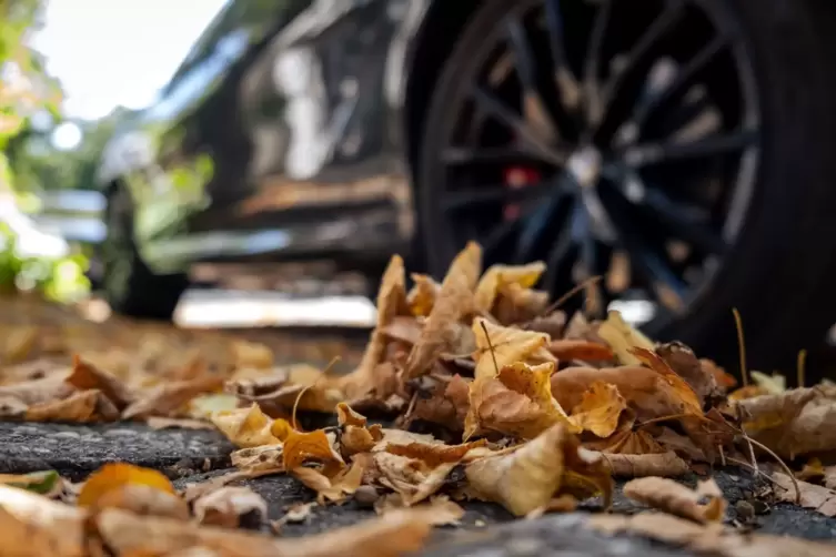 Herbstlaub liegt am Strassenrand neben einem parkenden Auto