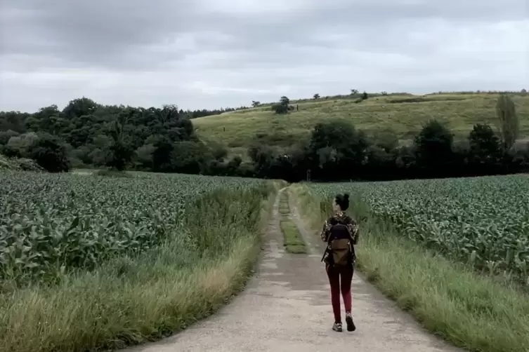 Offene Hügellandschaft: Teilweise führt der Weg durch Wiesen und Felder.