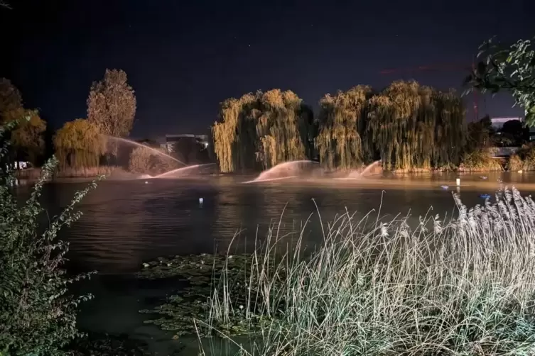 Aus allen Rohren: In der Nacht bauen Feuerwehr und THW zehn Wasserwerfer am Russenweiher auf, um das Gewässer zu belüften.