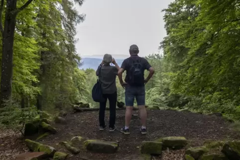 Das Ziel: gemeinsam wandern, gemeinsam essen, gemeinsam Wissenswertes über die Region erfahren.