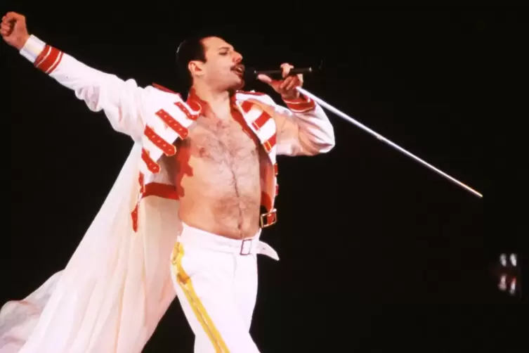 „Ich werde kein Star sein, ich werde eine Legende sein“, sagte Freddie Mercury einst. Sein Weg dahin war weit. 