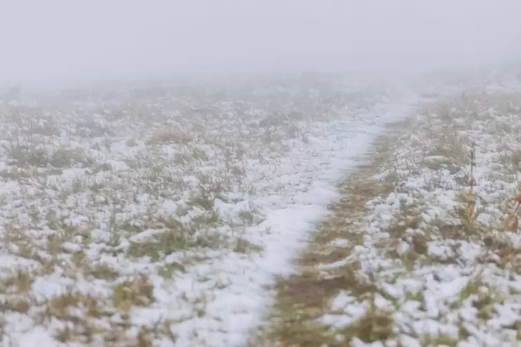 Wetter im Hochschwarzwald