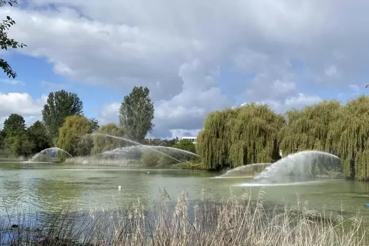 Belüftung: Feuerwehr und THW haben zwischenzeitlich Wasserwerfer am Russenweiher aufgestellt.