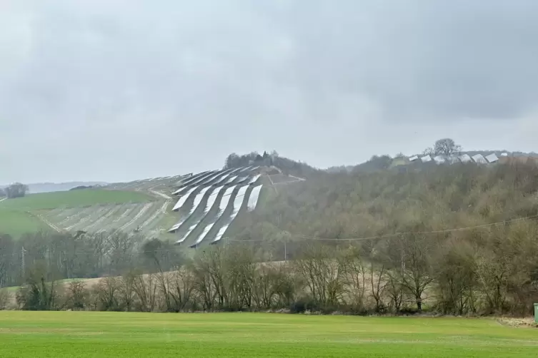 Prokon ist im Zweibrücker Land nicht unbekannt: Die Firma aus Itzehoe hat auch den Solarpark bei Walshausen gebaut. Strom wird d