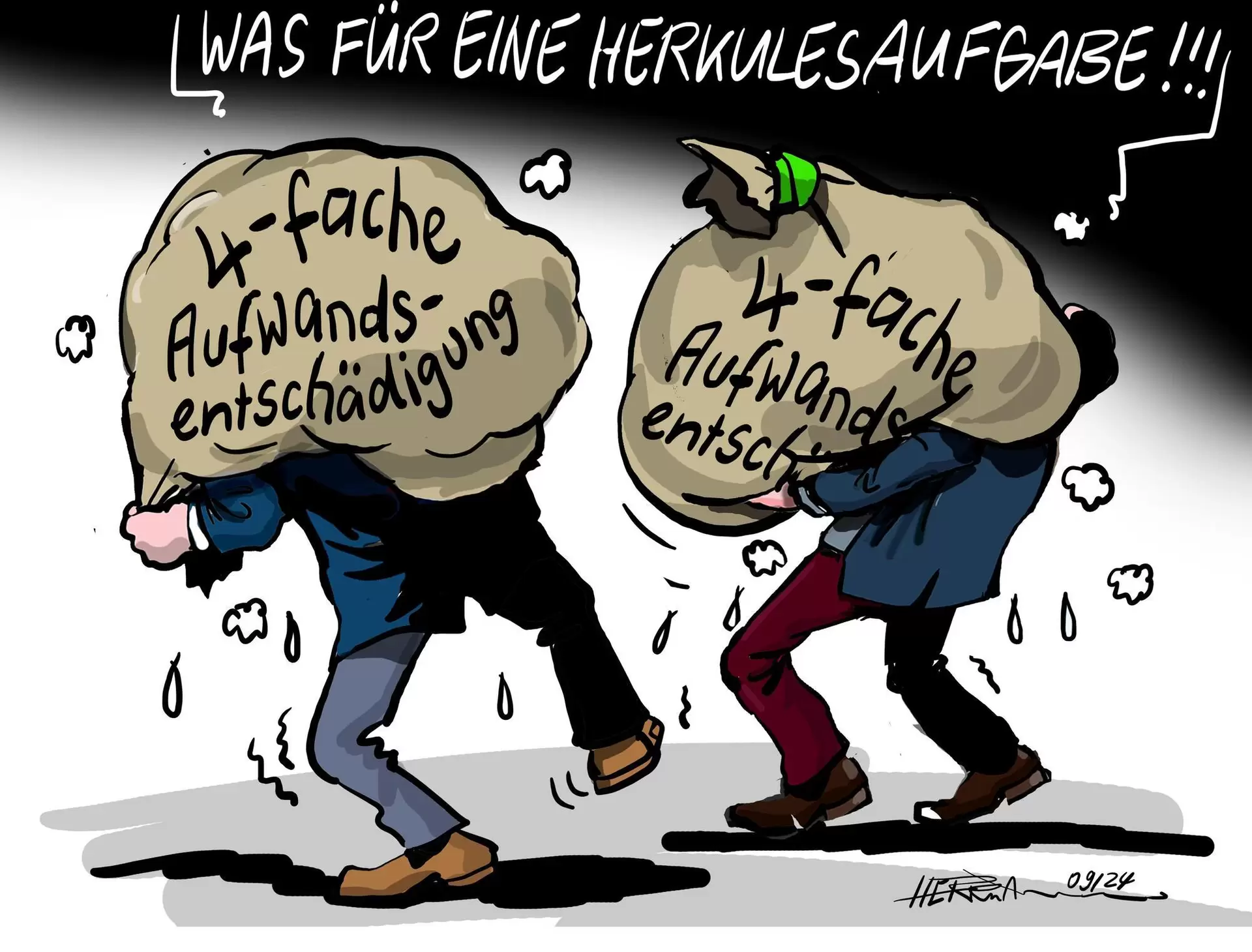 aufwandsentschädigung