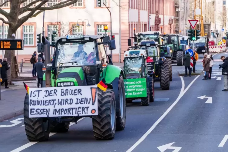 Bauernproteste in Mainz