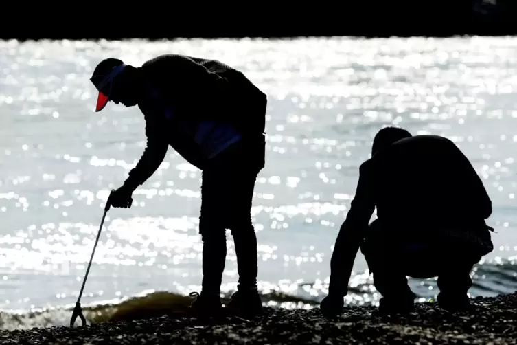 Freiwillige säubern Uferstreifen bei Aktion «RhineCleanUp»