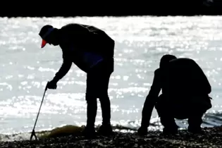 Freiwillige säubern Uferstreifen bei Aktion »RhineCleanUp«