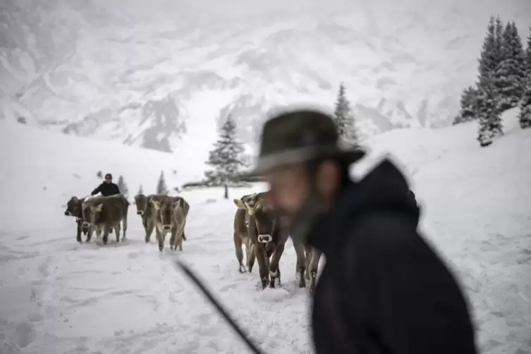 Schneefall in der Schweiz