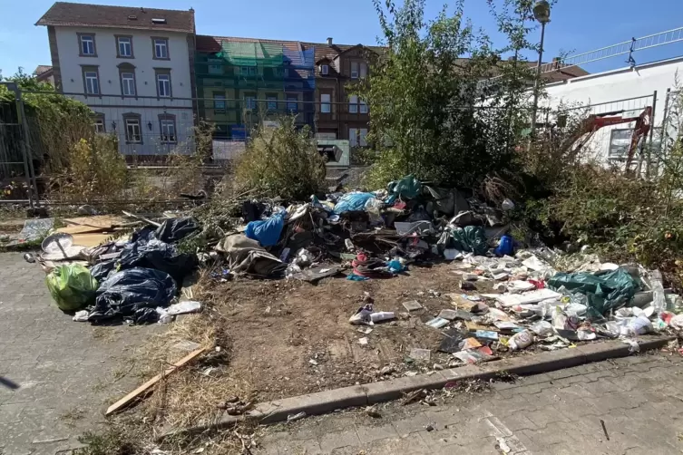 Unschön und unhygienisch: In der Straße am Alten Bahndamm ist mittlerweile eine kleine Müllhalde entstanden. 