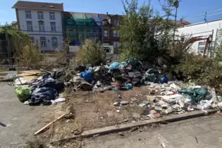 Unschön und unhygienisch: In der Straße am Alten Bahndamm ist mittlerweile eine kleine Müllhalde entstanden.