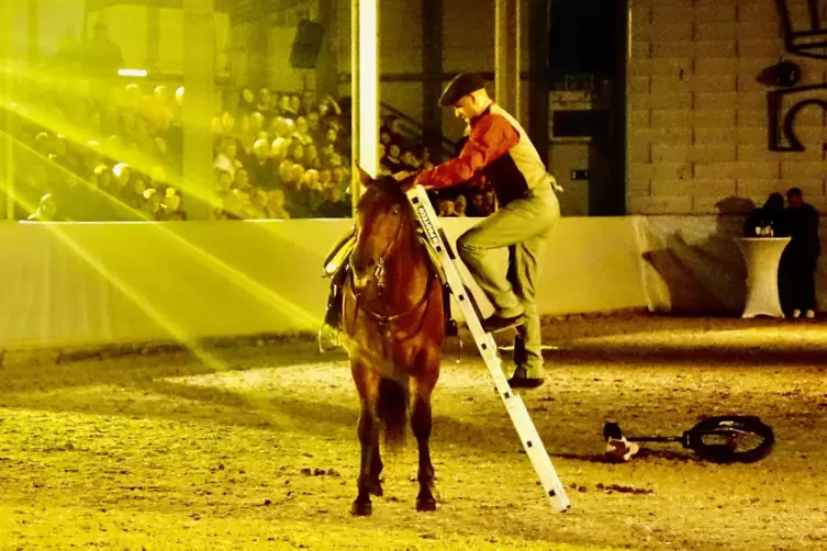 Wie steigt man auf ein Pferd? So! 