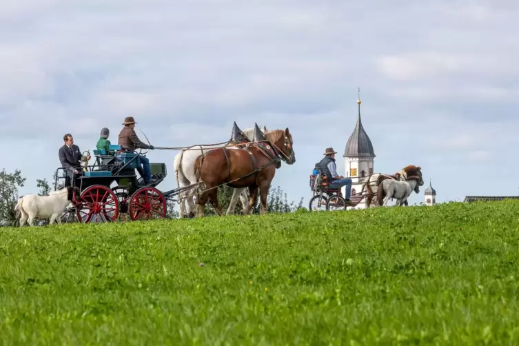 Kutschfahrt - Wetter im Südwesten