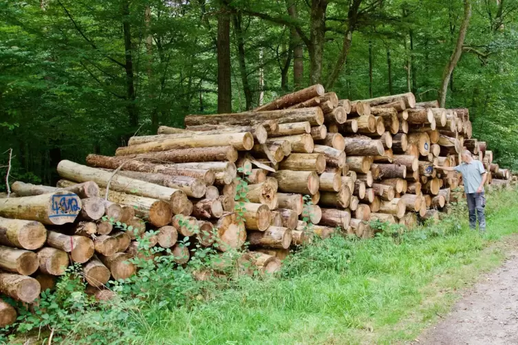 Hölzer von minderer Qualität werden zu Holzhackschnitzel. 