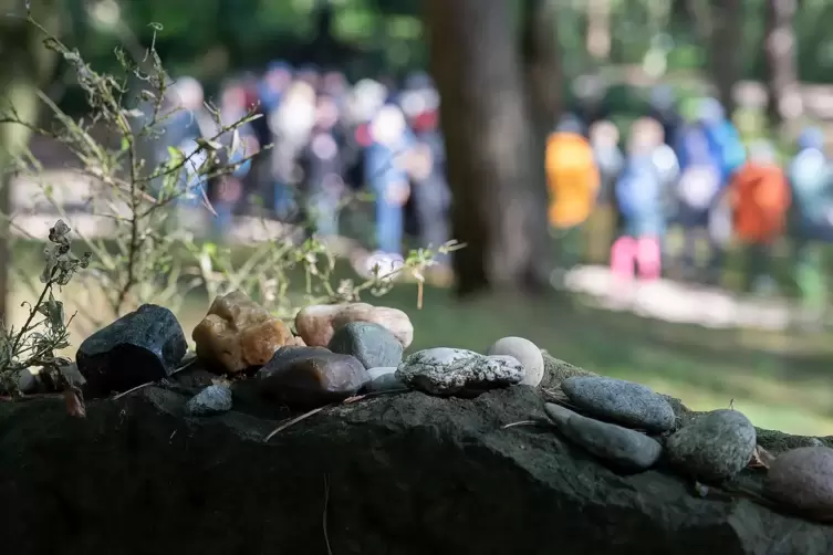 Führung am Tag des Friedhofs: Steine auf jüdischen Gräbern statt Blumenschmuck. 