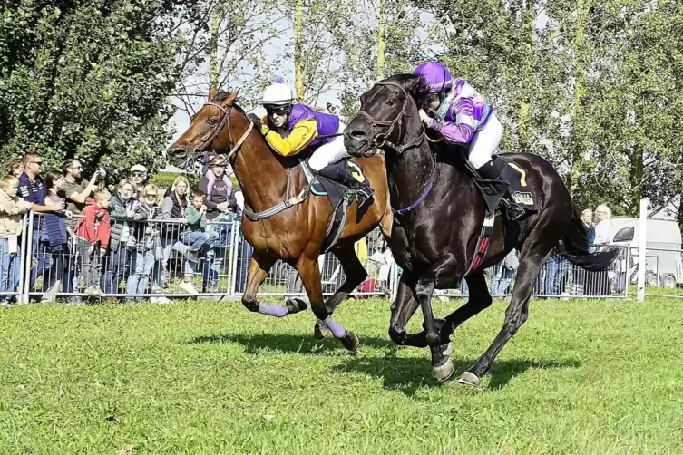 Der Zieleinlauf des schwarz-gelben Bandes von Billigheim: Sabiano mit Nora Cronauer (rechts) vor Avorio mit Marie Gast. 