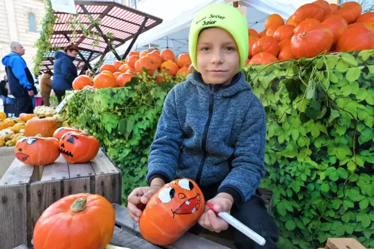 Bauer Jester Junior: Fabio in der ersten Reihe beim Bauernmarkt. 