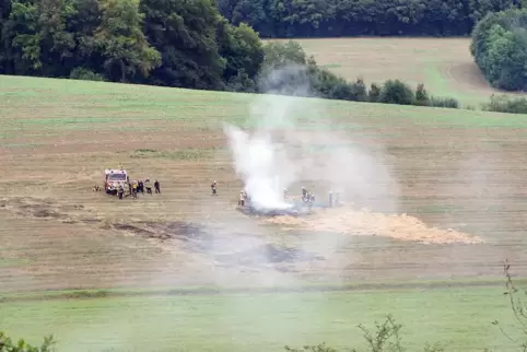 30 Feuerwehrleute haben an der zweitägigen Fortbildung zum Thema Vegetations-, Flächen- und Waldbrände teilgenommen. Am Freitag 