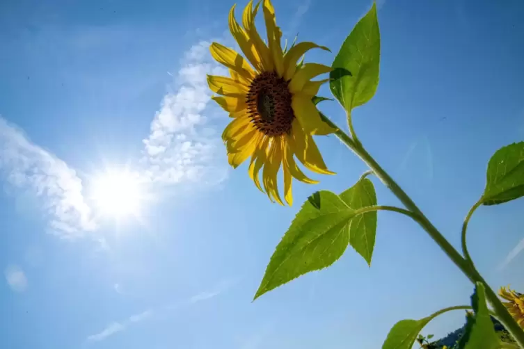 Sommerwetter