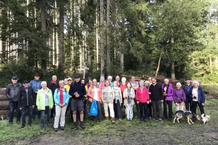 In der Gruppe und mit kundiger Führung: Wanderungen der Herbstwanderwoche.