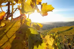 Herbstsonne bei Stuttgart