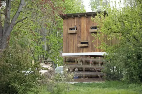 Die Stadt plant einen weiteren Taubenturm. Dieser steht in der Burgstraße.