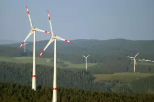 Windräder, die im Wald stehen: Das sorgt in Otterberg schon länger für Diskussionen.