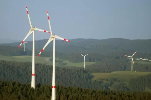 Windräder, die im Wald stehen: Das sorgt in Otterberg schon länger für Diskussionen.