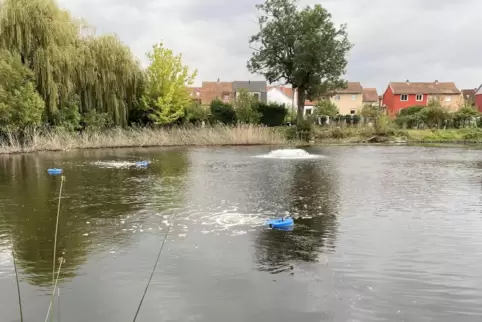 Russenweiher diese Woche: Die blauen Geräte und die Fontäne im Hintergrund markieren vier von sechs Belüftungspunkten. 