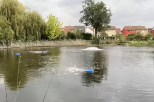 Russenweiher diese Woche: Die blauen Geräte und die Fontäne im Hintergrund markieren vier von sechs Belüftungspunkten.